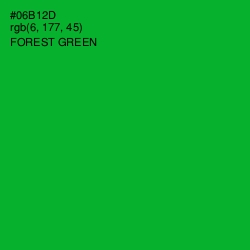 #06B12D - Forest Green Color Image