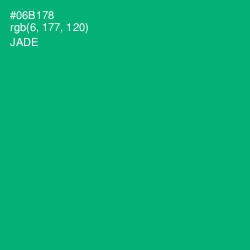 #06B178 - Jade Color Image