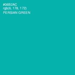 #06B2AC - Persian Green Color Image
