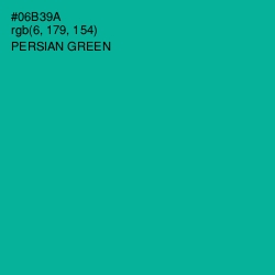 #06B39A - Persian Green Color Image