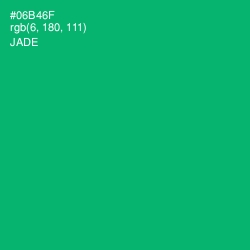 #06B46F - Jade Color Image