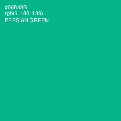 #06B48B - Persian Green Color Image