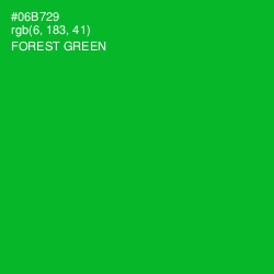#06B729 - Forest Green Color Image