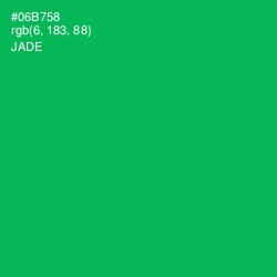 #06B758 - Jade Color Image