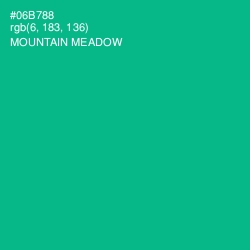 #06B788 - Mountain Meadow Color Image