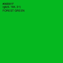 #06B81F - Forest Green Color Image