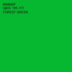 #06B82F - Forest Green Color Image