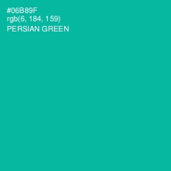 #06B89F - Persian Green Color Image