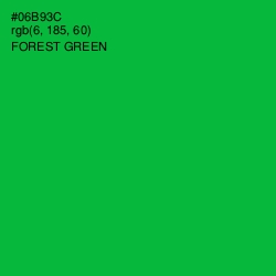 #06B93C - Forest Green Color Image