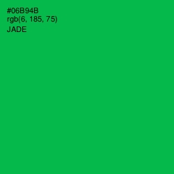 #06B94B - Jade Color Image