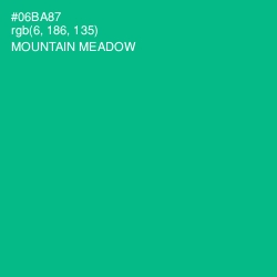 #06BA87 - Mountain Meadow Color Image
