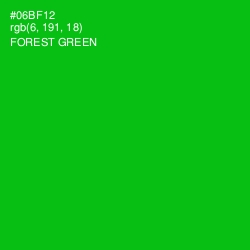 #06BF12 - Forest Green Color Image