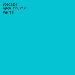 #06C3D4 - Robin's Egg Blue Color Image