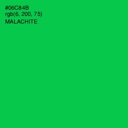 #06C84B - Malachite Color Image