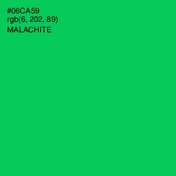 #06CA59 - Malachite Color Image