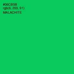 #06CB5B - Malachite Color Image