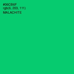 #06CB6F - Malachite Color Image