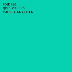 #06D1B0 - Caribbean Green Color Image