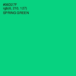 #06D27F - Spring Green Color Image