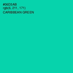 #06D3AB - Caribbean Green Color Image