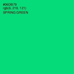 #06DB79 - Spring Green Color Image