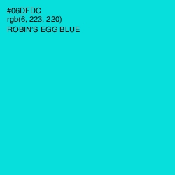 #06DFDC - Robin's Egg Blue Color Image