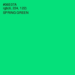 #06E07A - Spring Green Color Image
