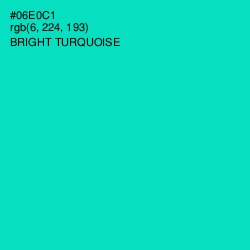 #06E0C1 - Bright Turquoise Color Image