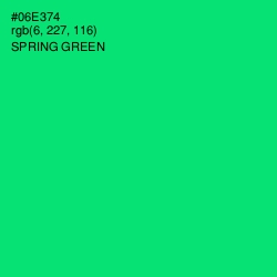 #06E374 - Spring Green Color Image