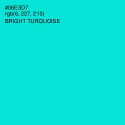 #06E3D7 - Bright Turquoise Color Image