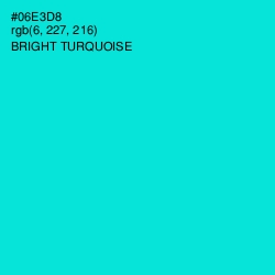 #06E3D8 - Bright Turquoise Color Image