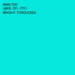#06E7DD - Bright Turquoise Color Image