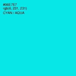 #06E7E7 - Cyan / Aqua Color Image