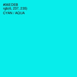 #06EDEB - Cyan / Aqua Color Image