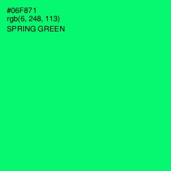 #06F871 - Spring Green Color Image