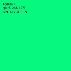 #06F87F - Spring Green Color Image