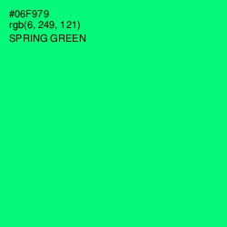 #06F979 - Spring Green Color Image