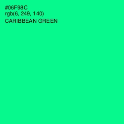 #06F98C - Caribbean Green Color Image