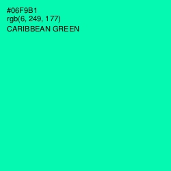 #06F9B1 - Caribbean Green Color Image