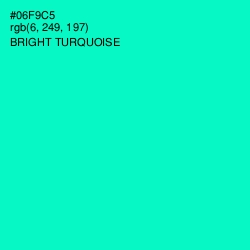 #06F9C5 - Bright Turquoise Color Image