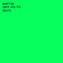 #06FF5D - Spring Green Color Image