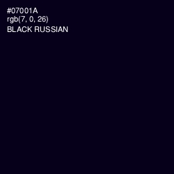 #07001A - Black Russian Color Image