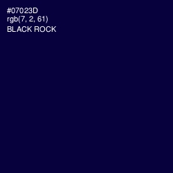 #07023D - Black Rock Color Image