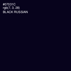 #07031C - Black Russian Color Image