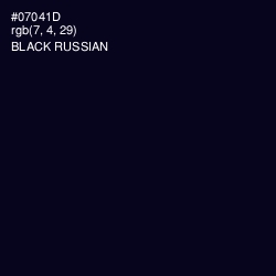 #07041D - Black Russian Color Image