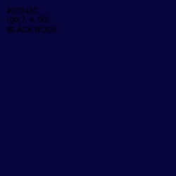 #07043C - Black Rock Color Image