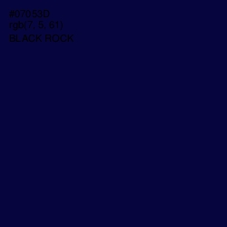 #07053D - Black Rock Color Image