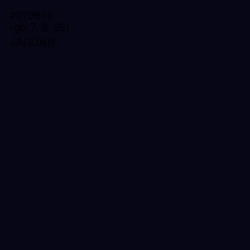 #070616 - Jaguar Color Image