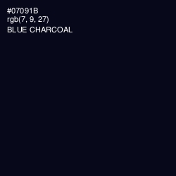 #07091B - Blue Charcoal Color Image