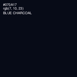 #070A17 - Blue Charcoal Color Image